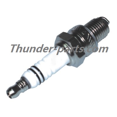 PLUG 12LI-D6HS